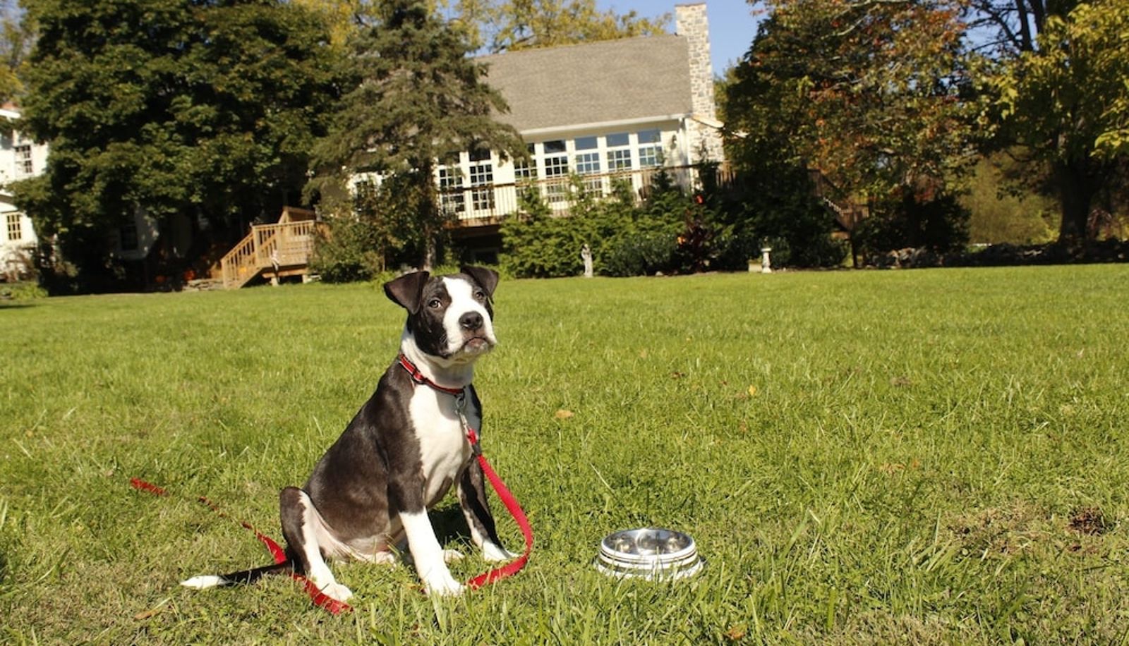 Info - Battlefield Bed & Breakfast Inn