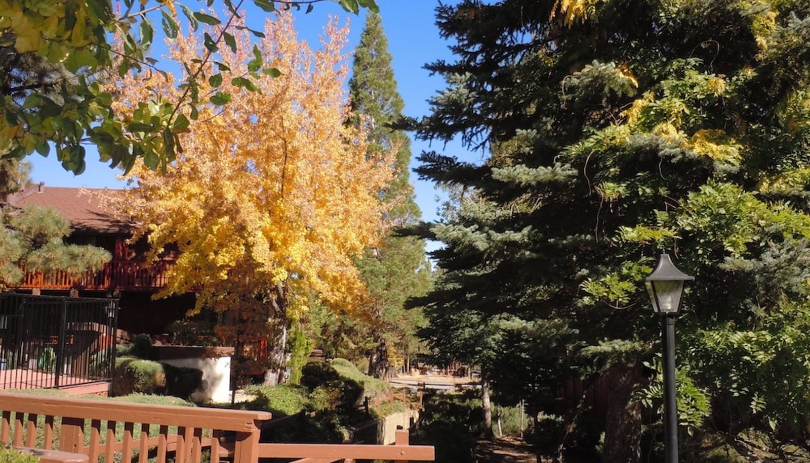 Garten - Snow Summit Townhouse Rentals & Sales
