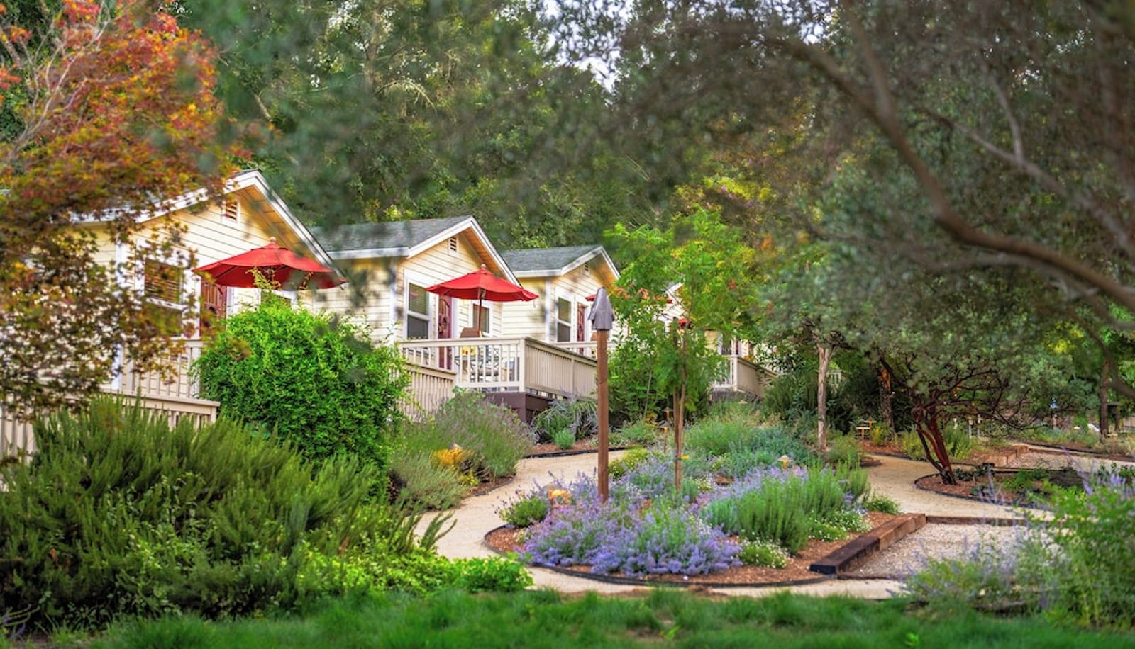 Jardín - Aurora Park Cottages