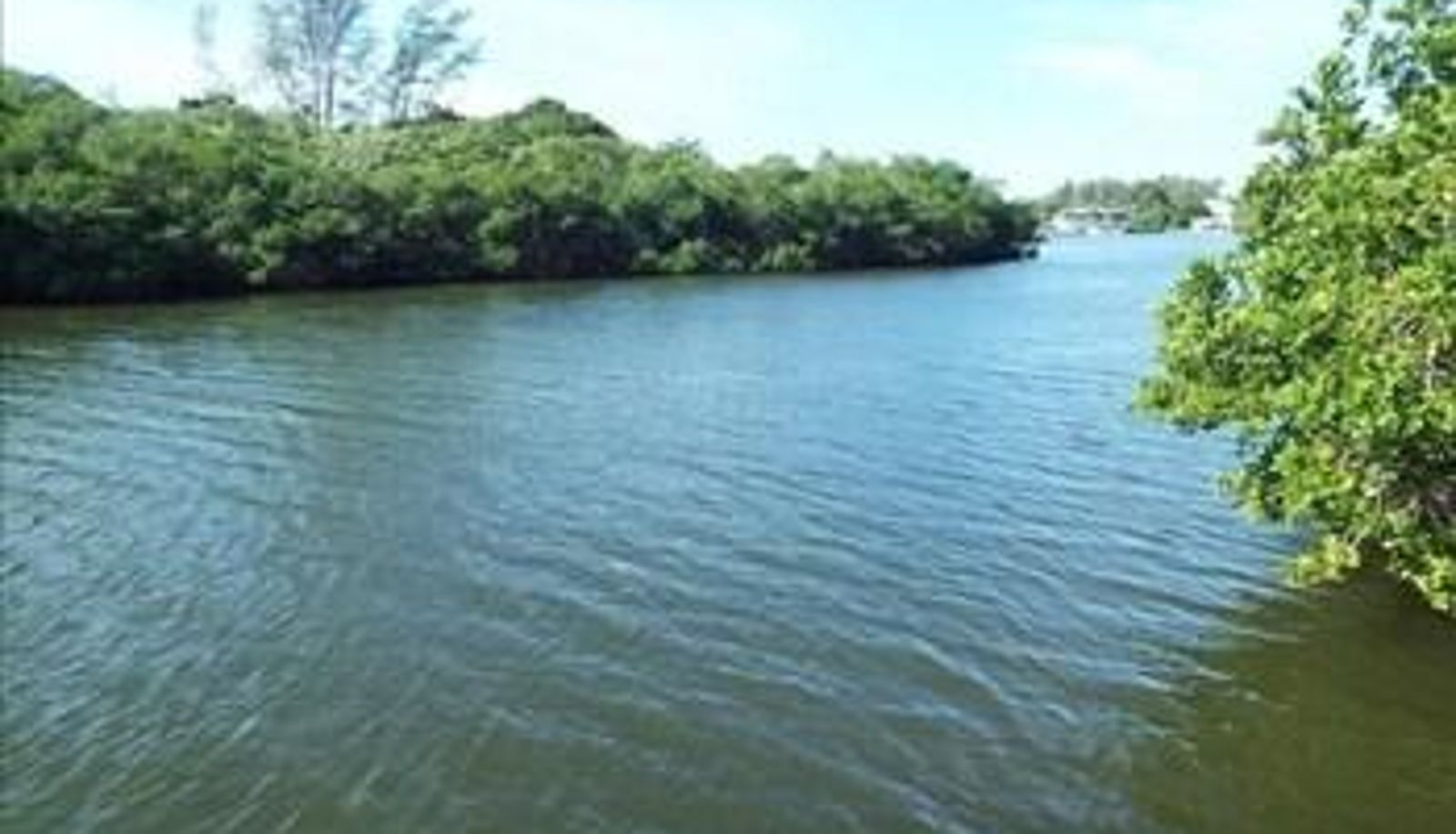Dintorni - Bayou Hammock Pool Cottage by Wagner Realty