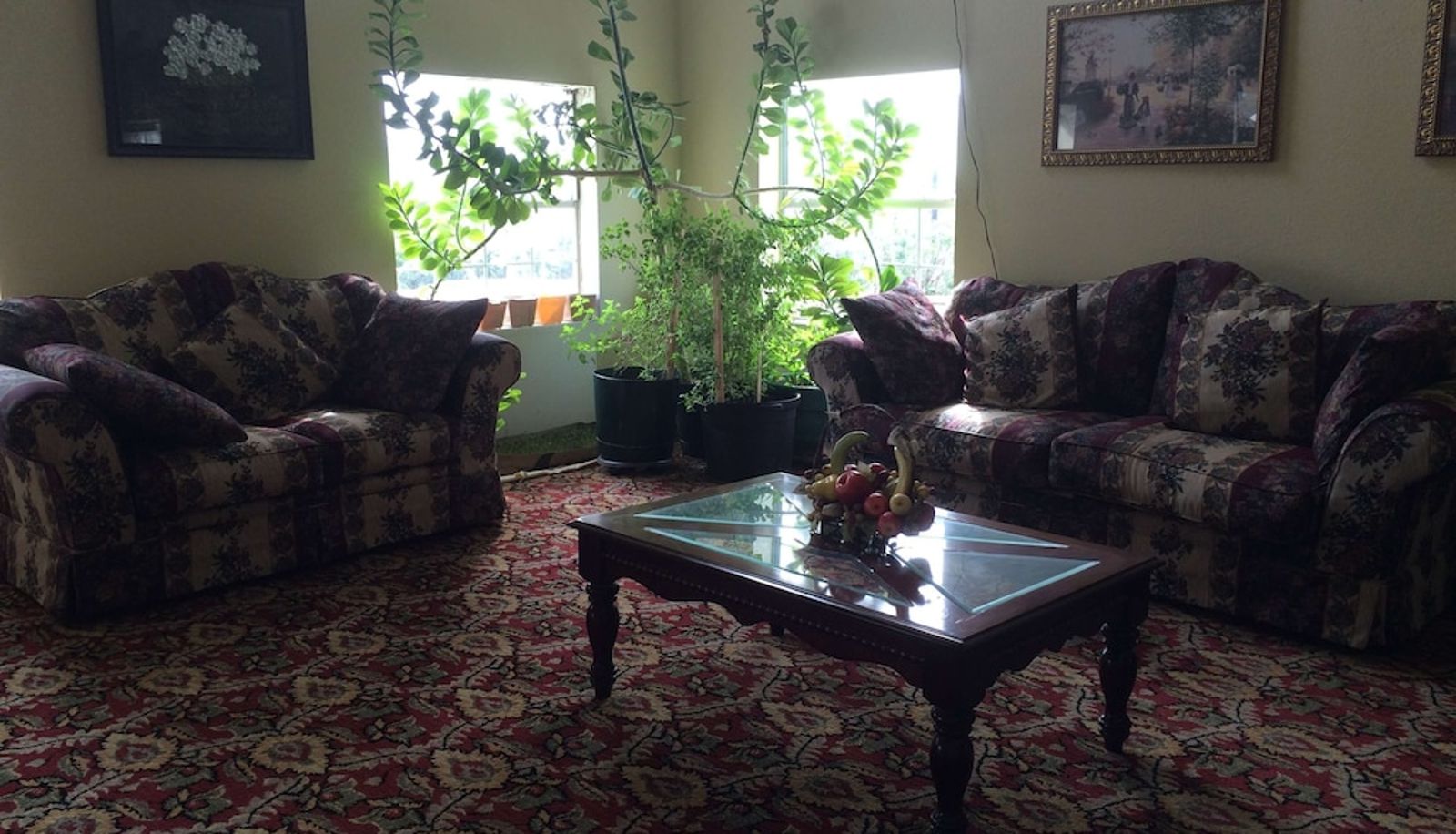 Salón - Executive Inn & Suites Schulenburg