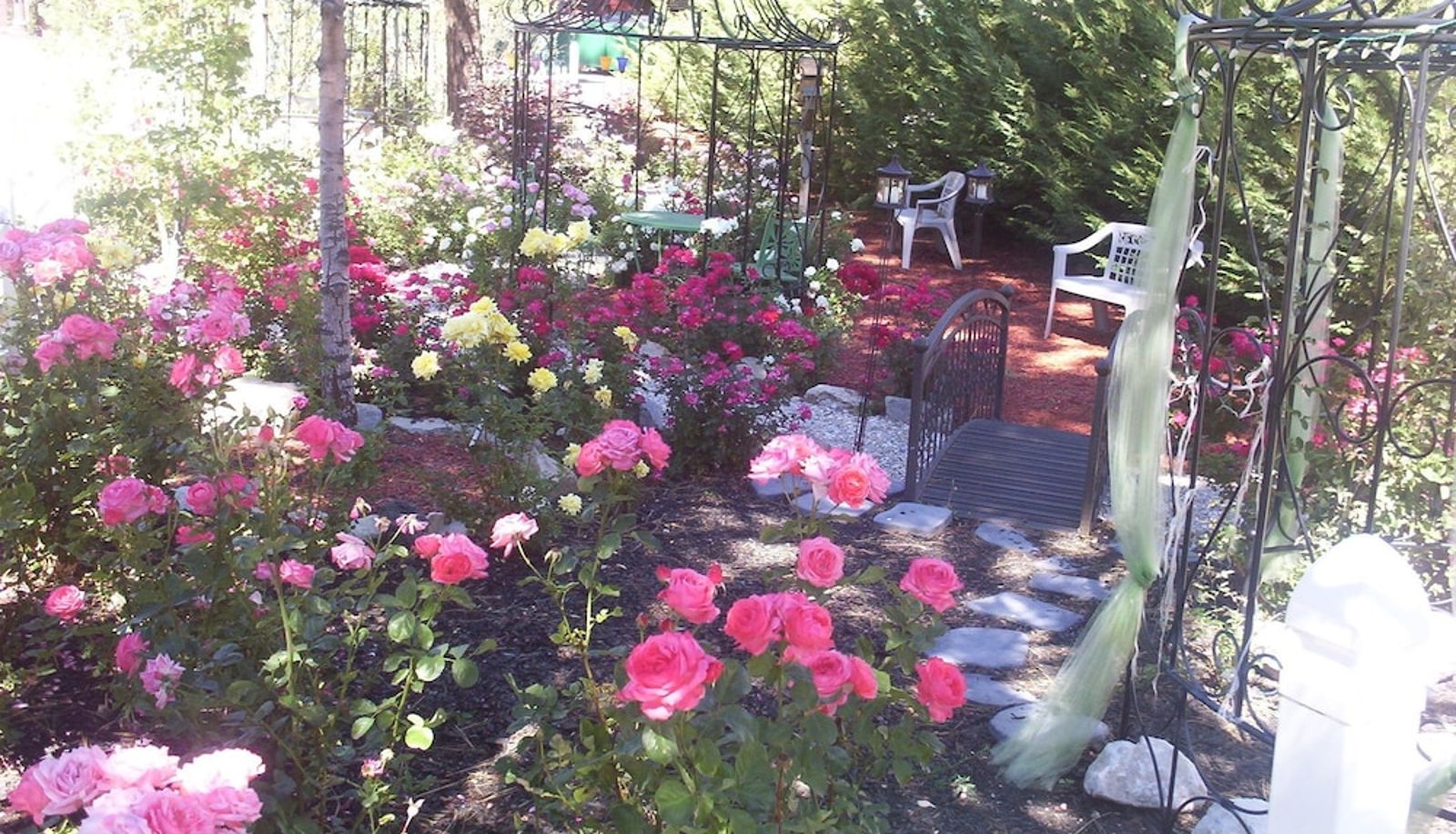 Tuin - Big Bear Manor Spa Cabins