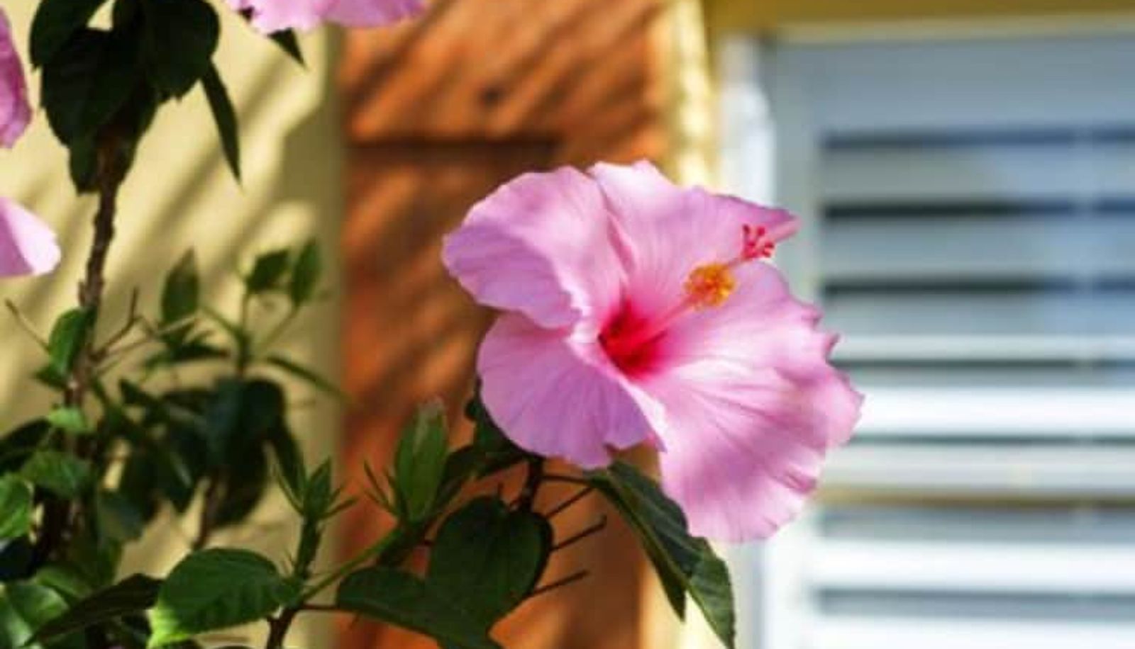 Garten - Atlantic Hideaway