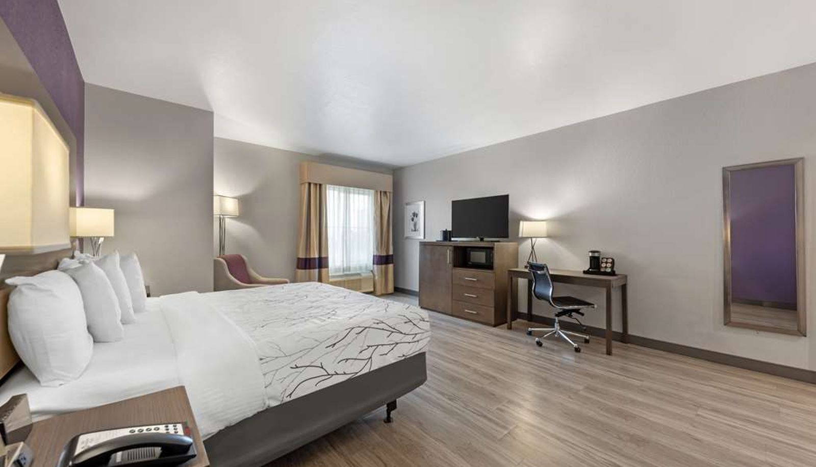 Room - Best Western Plus Buda Austin Inn & Suites