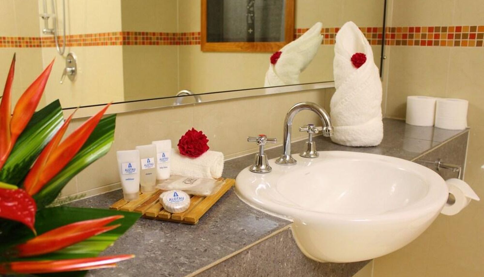 Camera business - Alotau International Hotel