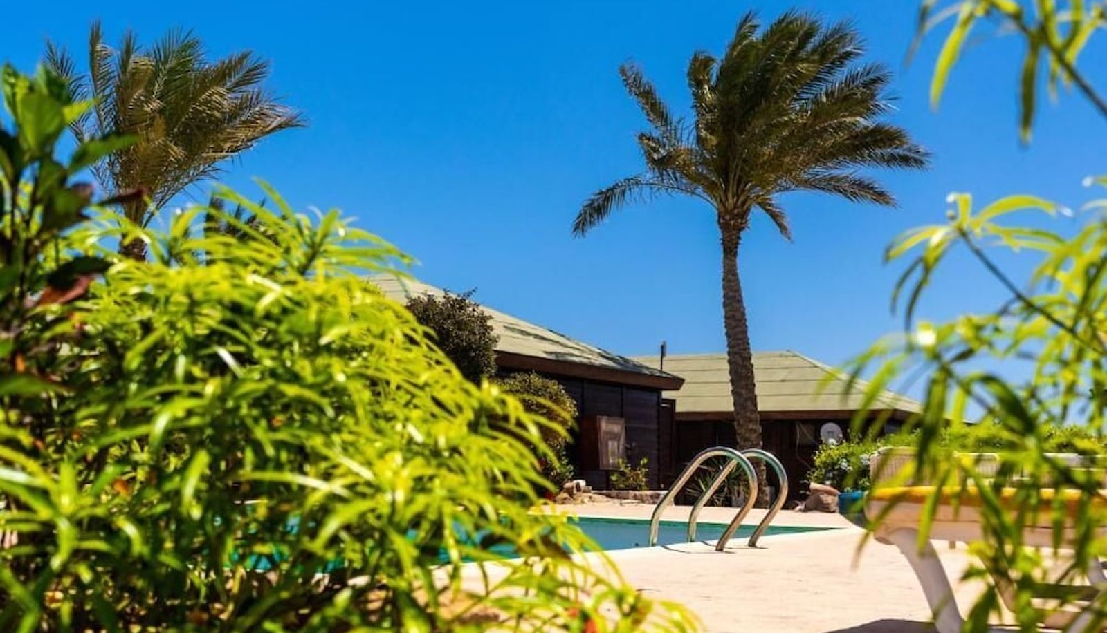 Zwembad - Abu Dabbab Lodge