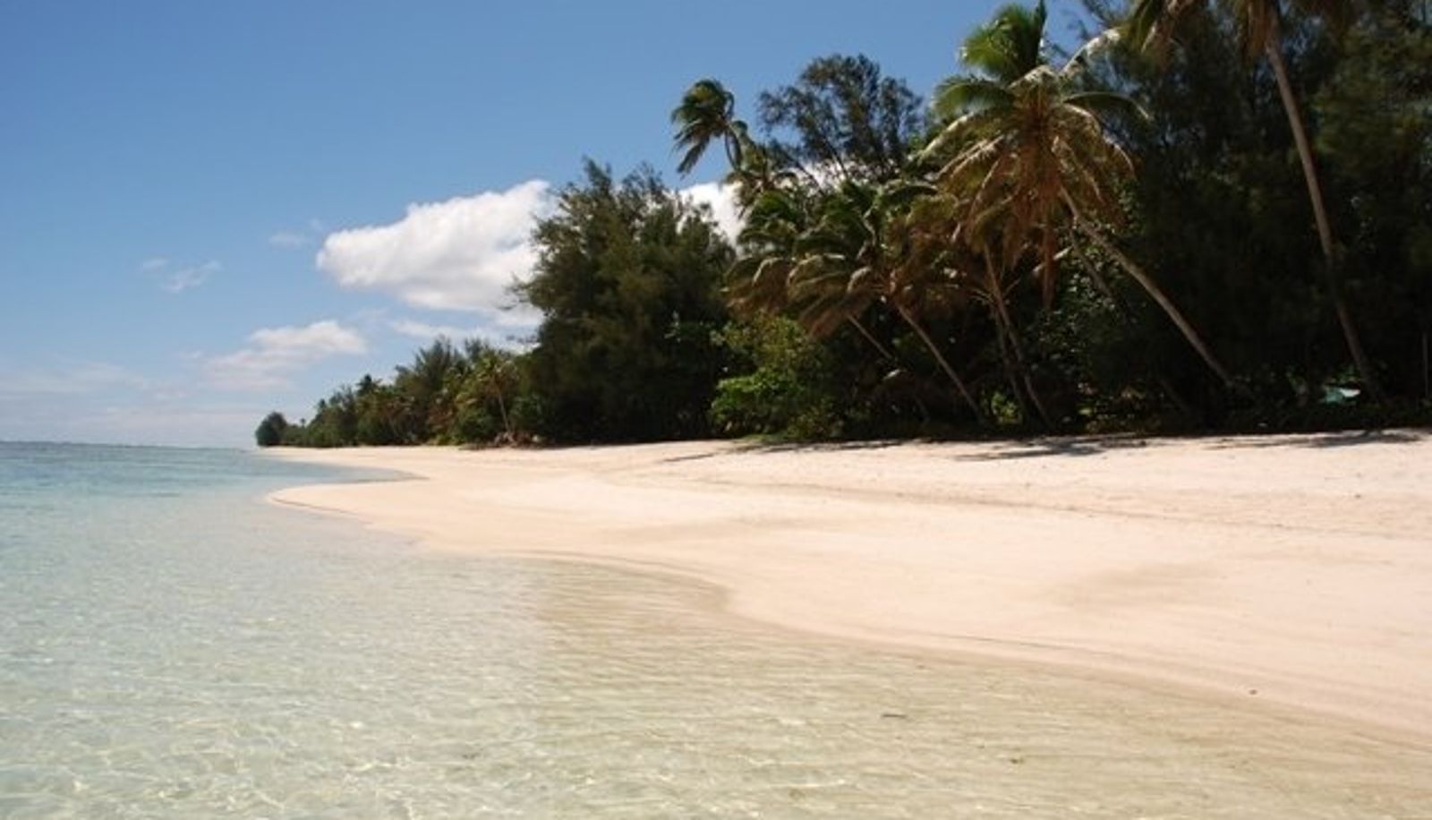 Vista - The Black Pearl Beach Side Apartments