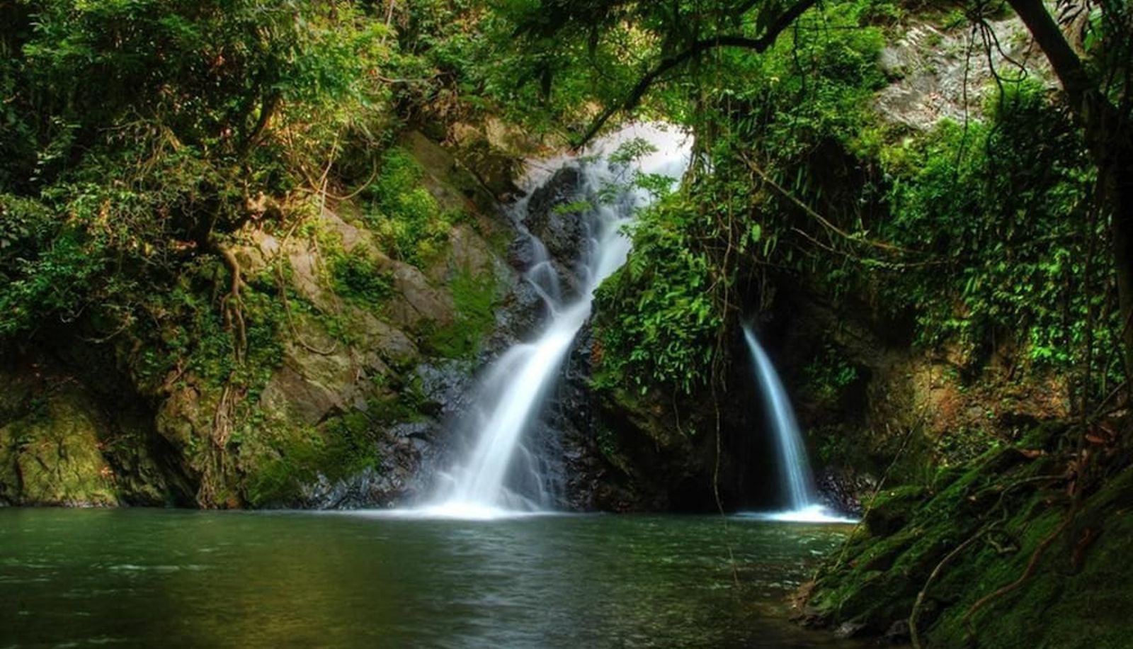 Basen - Belum Rainforest Resort