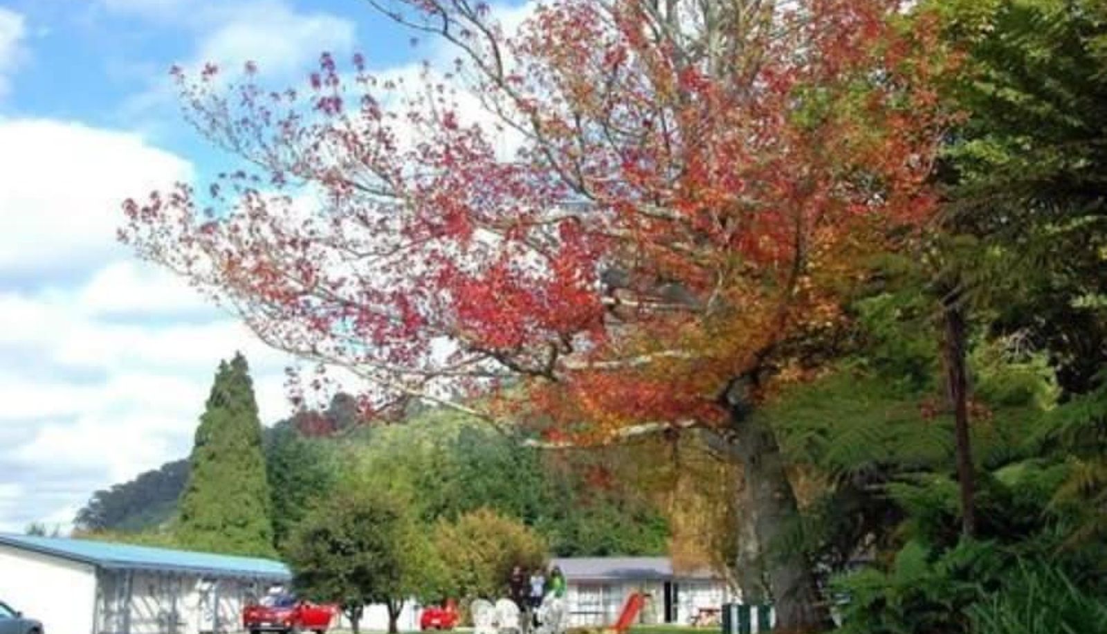 Garten - Fairy Springs Motel