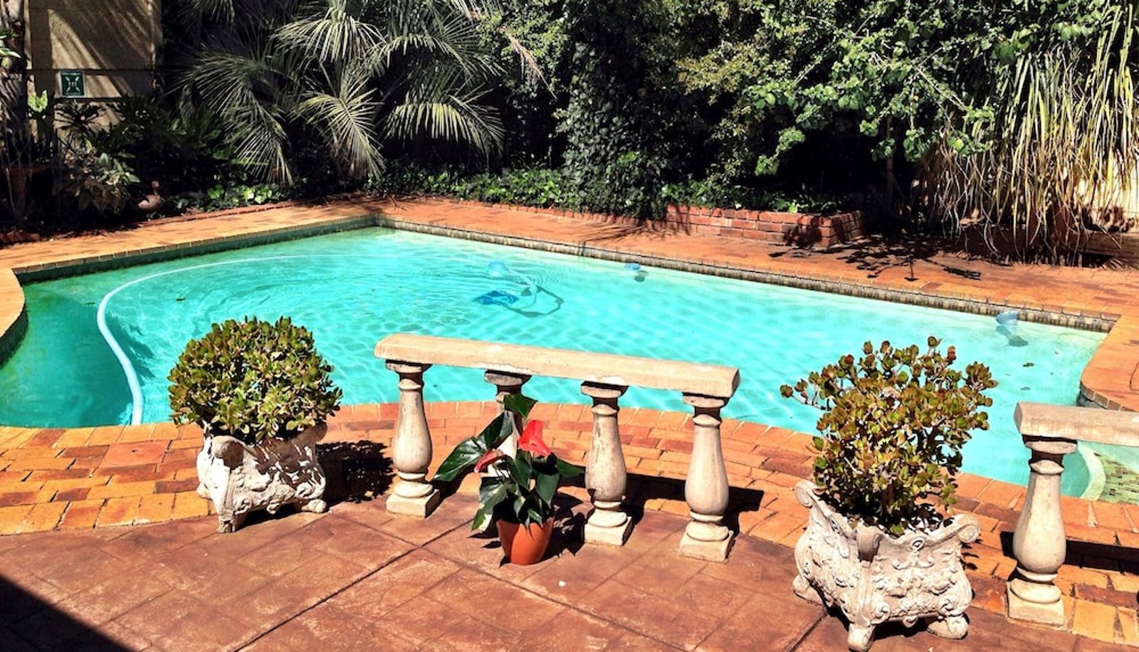 Pool - Pilgrims Delight