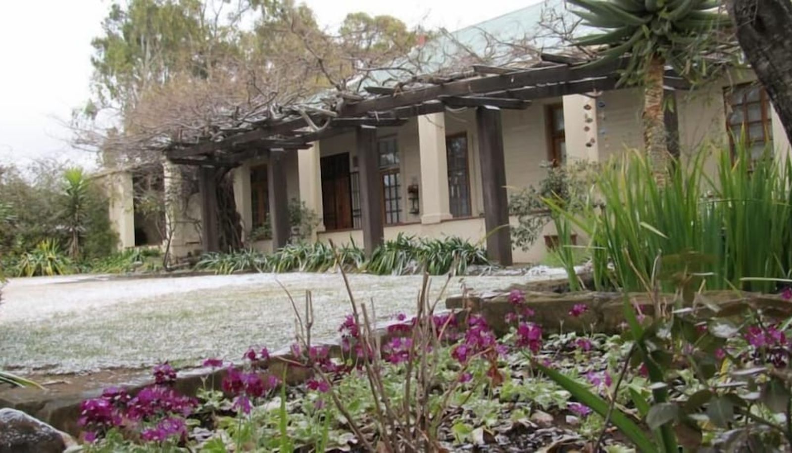 Garden - Top House Bed & Breakfast