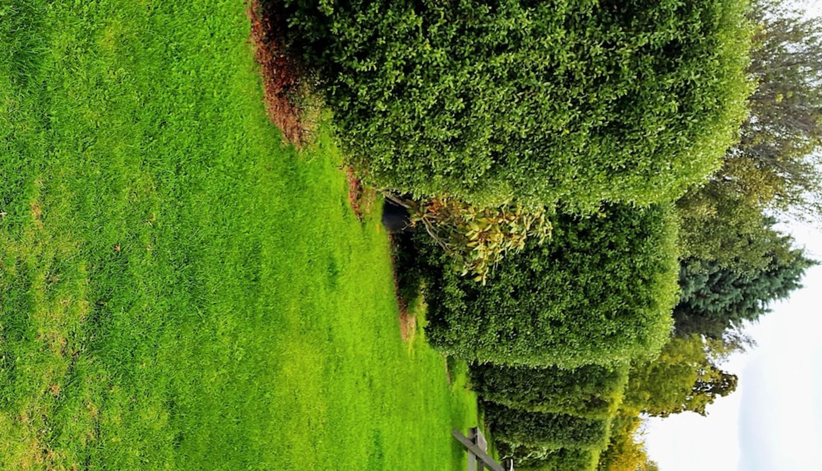 Garden - Lilybrook Rangiora Motel
