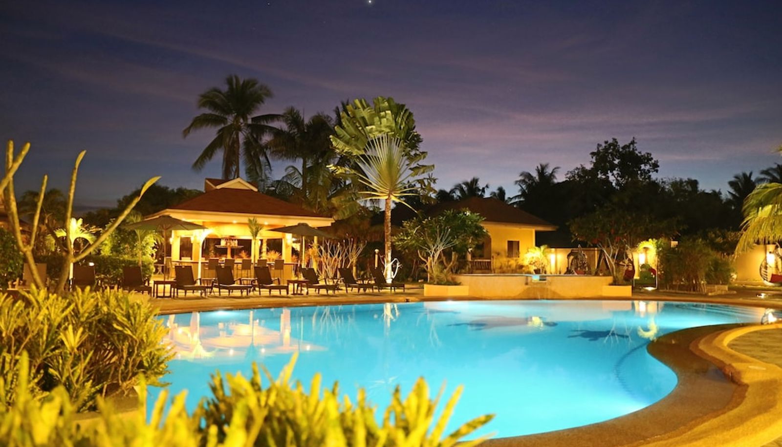 Pool - Turtle Bay Dive Resort