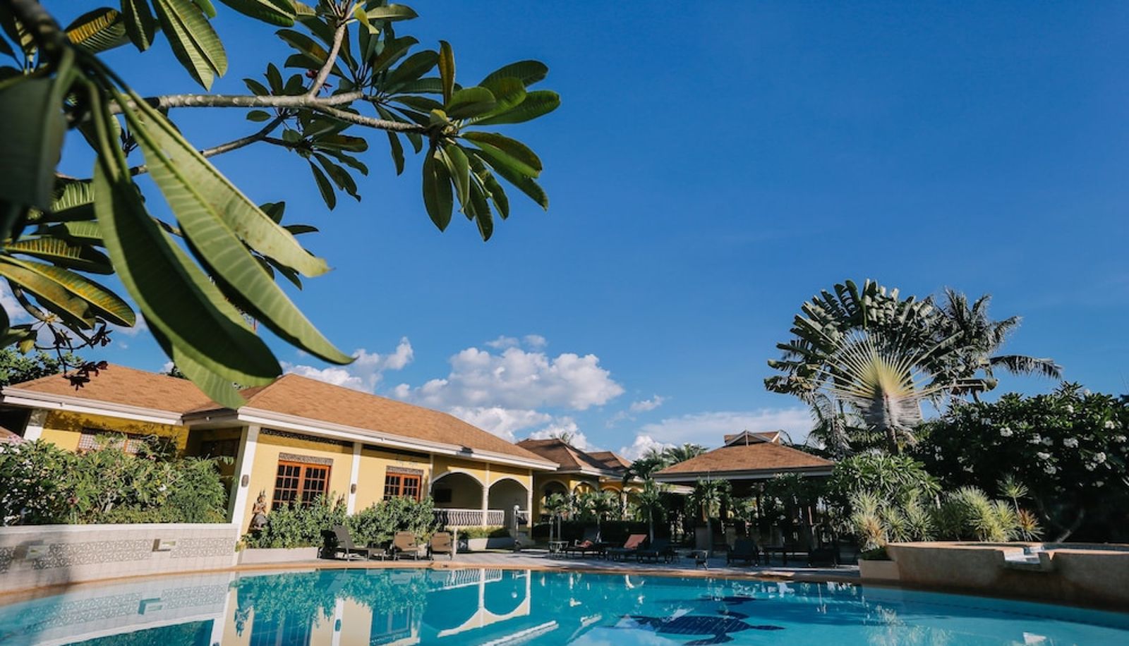 Pool - Turtle Bay Dive Resort