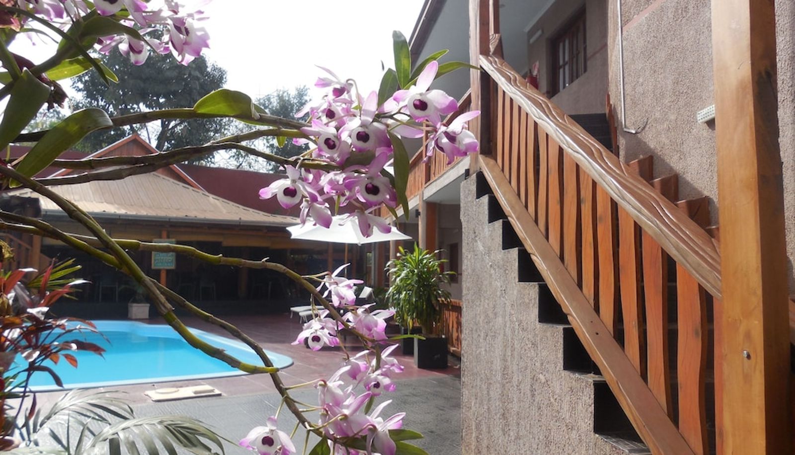 Pool - Tupa apart
