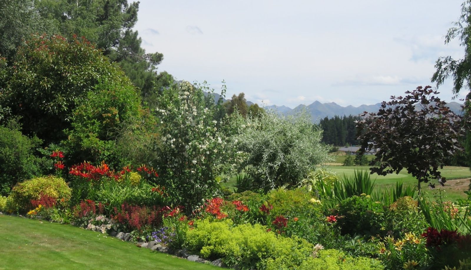 Garten - Marchmont Gardens