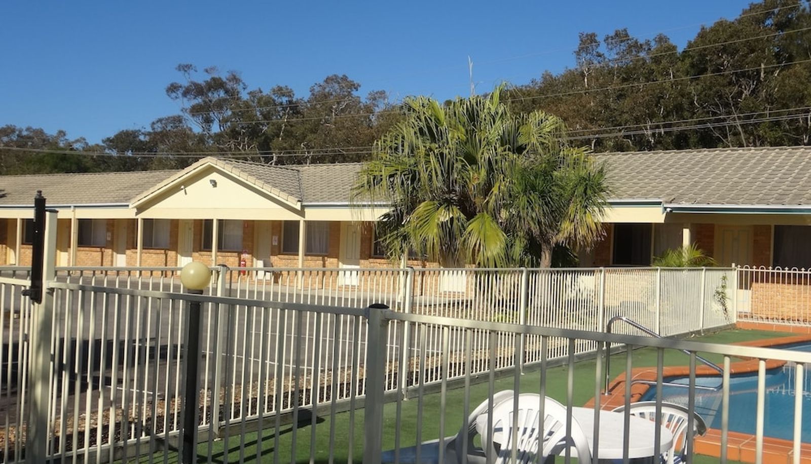 Basen - Forster Palms Motel