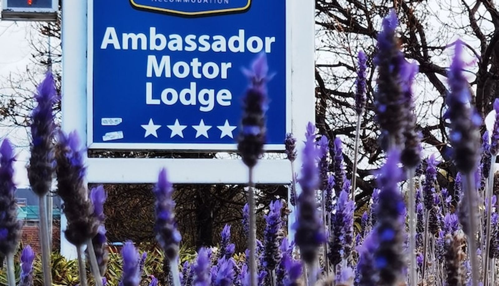 Info - ASURE Ambassador Motor Lodge