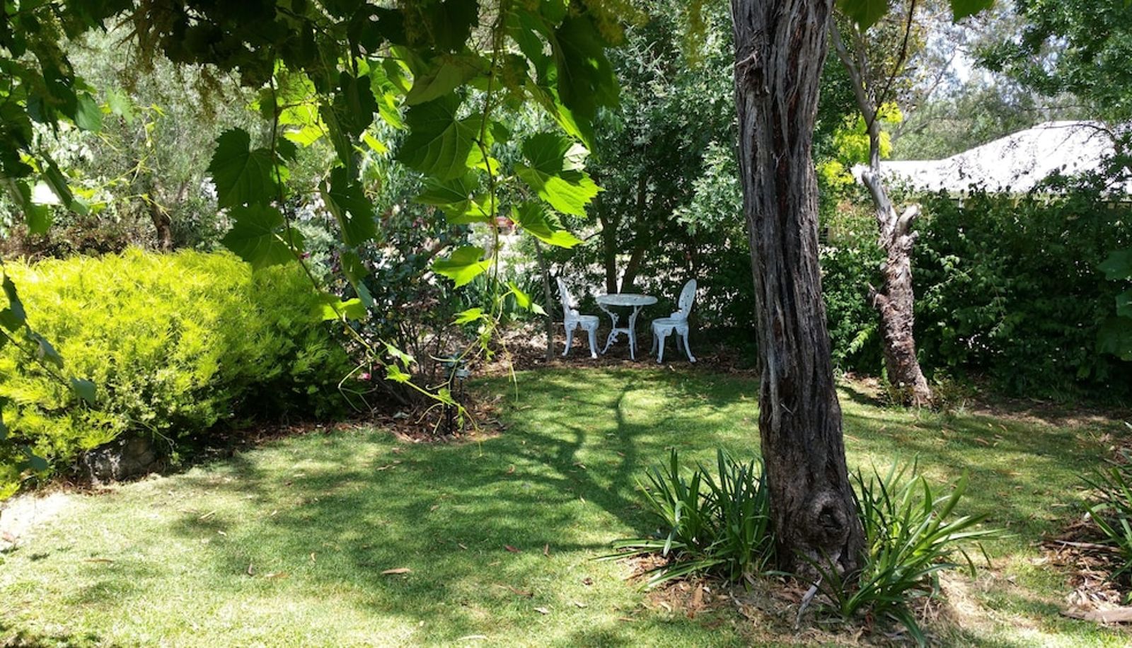 Jardin - Amy's House