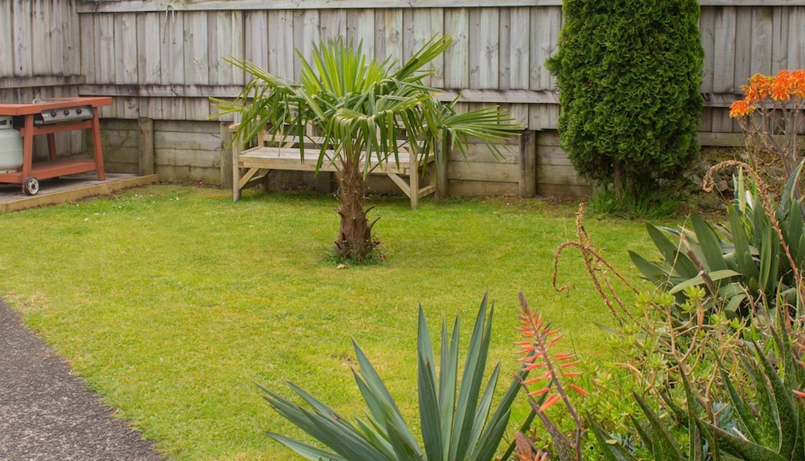 Garten - Palm Motel Waihi