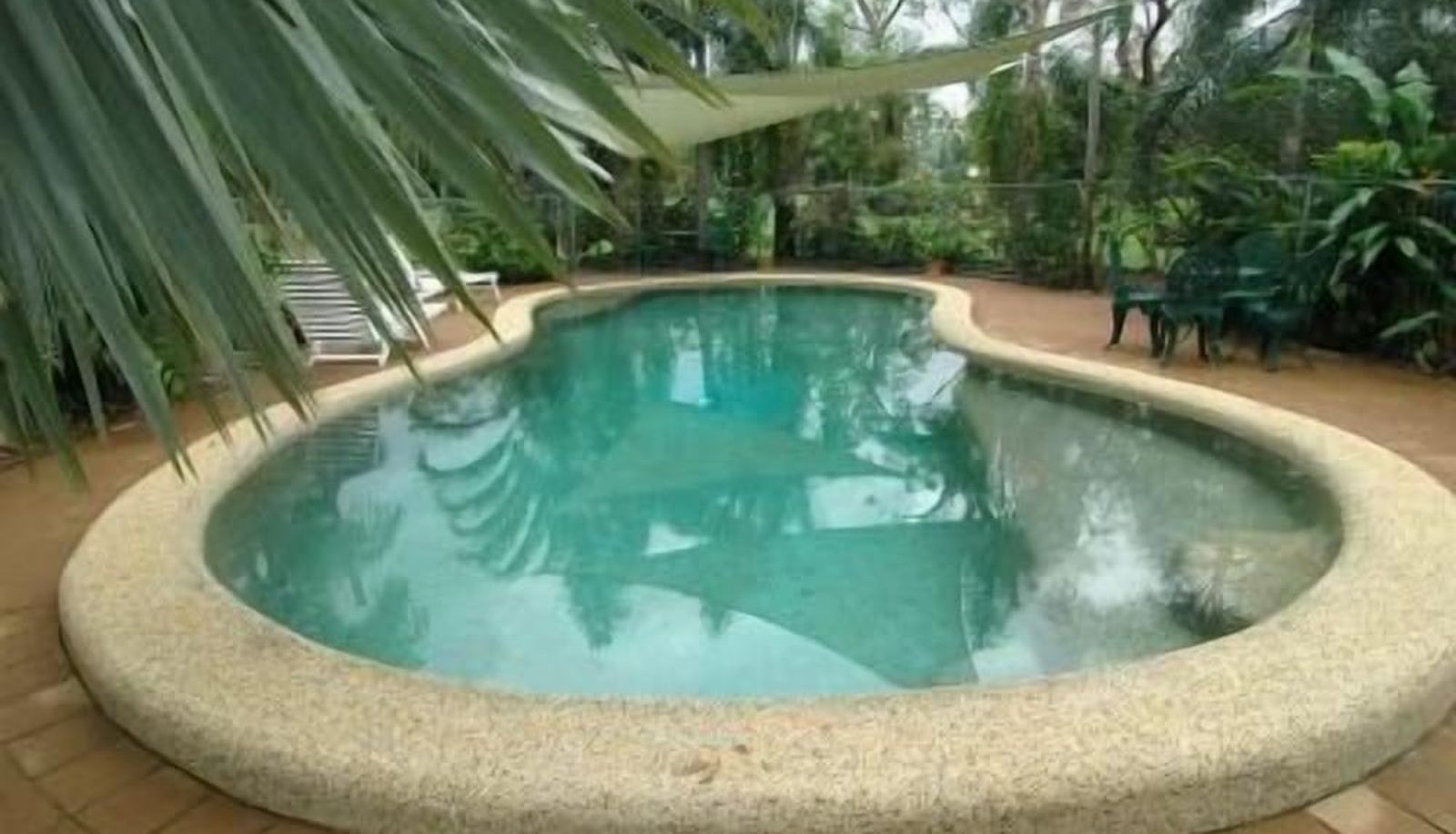 Piscine - Hibiscus Lodge Bed & Breakfast