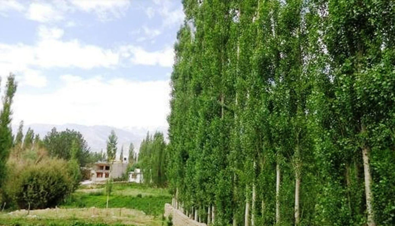 Garden - TIH Hotel Ladakh Heaven