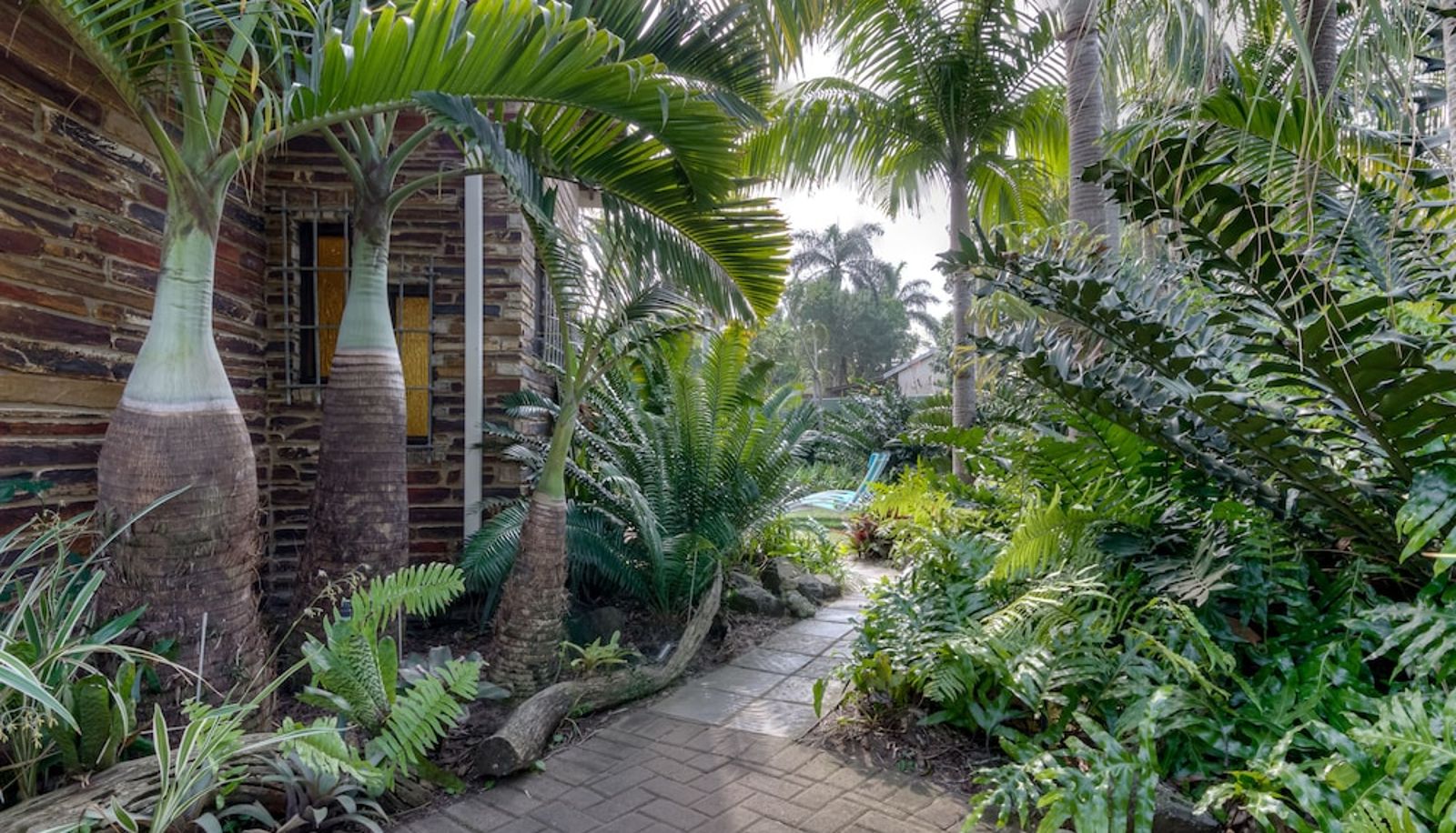 Tuin - Buya Futhi Bed & Breakfast