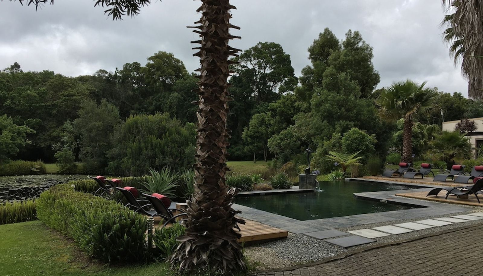Pool - Lily Pond Country Lodge