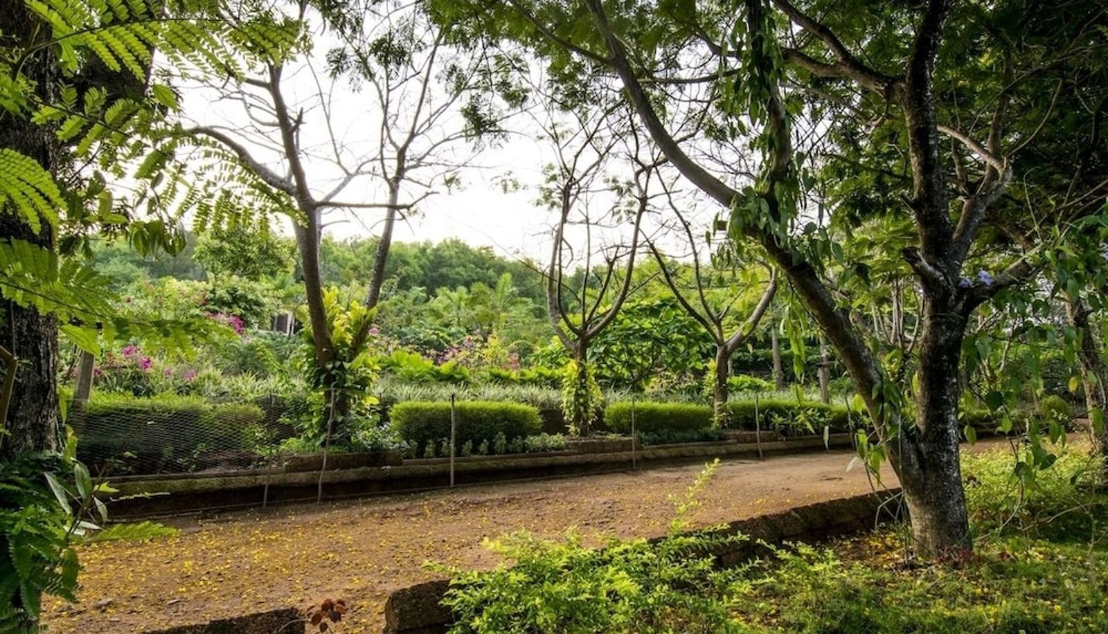 Jardín - Sai Vishram Beach Resort Byndoor