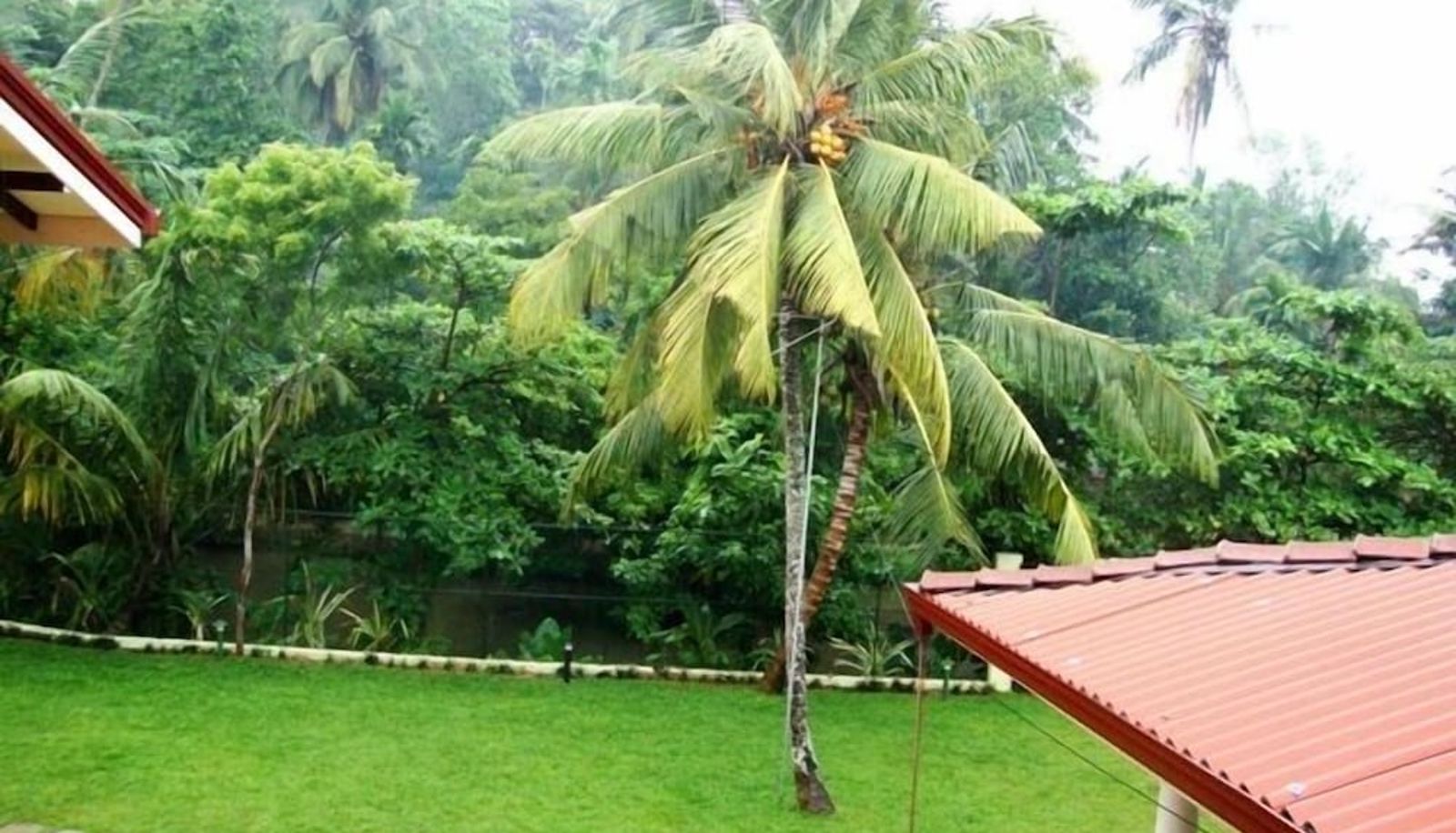 Garten - Riverside Cabanas