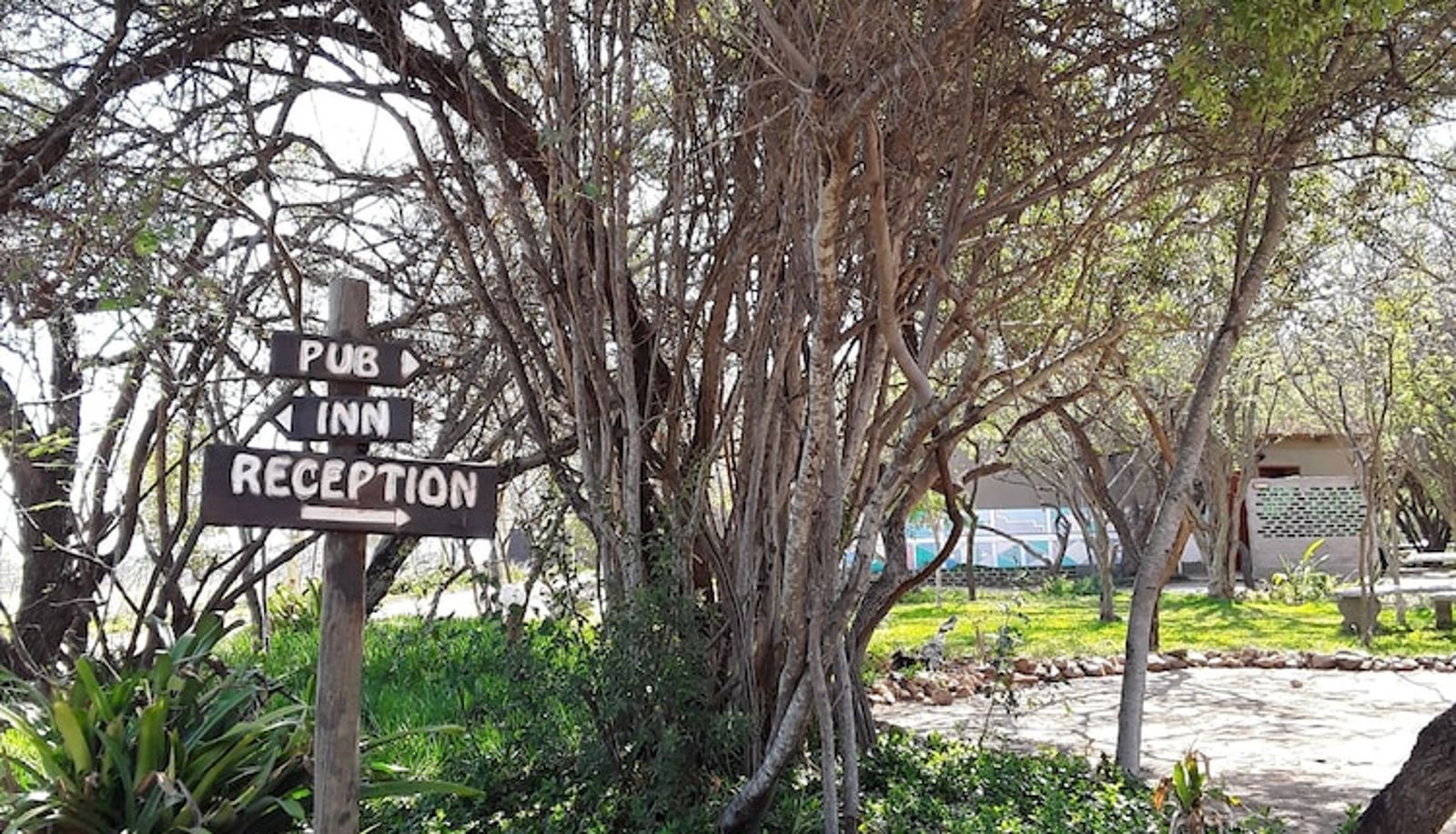 Receptie - The Bush Pub & Inn