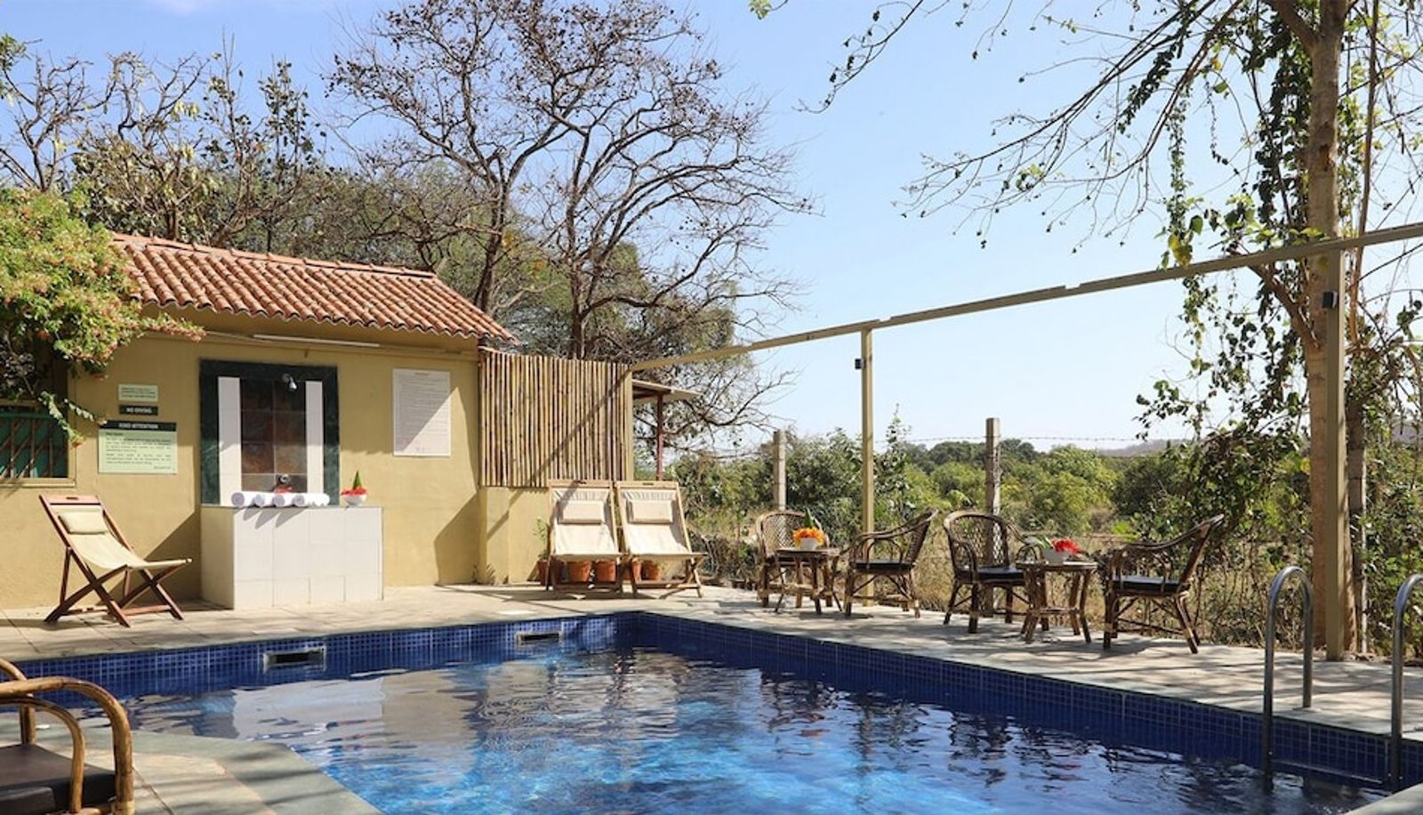 Piscina - Asiatic Lion Lodge