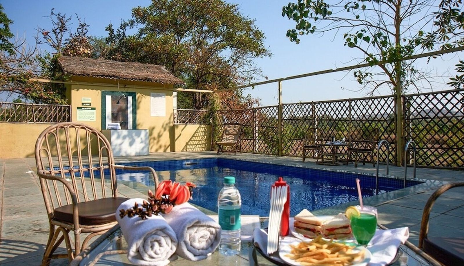Pool - Asiatic Lion Lodge