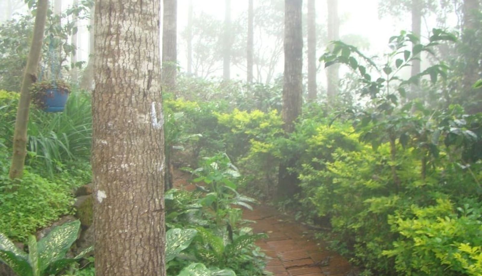 Garden - Hotel Shevaroys