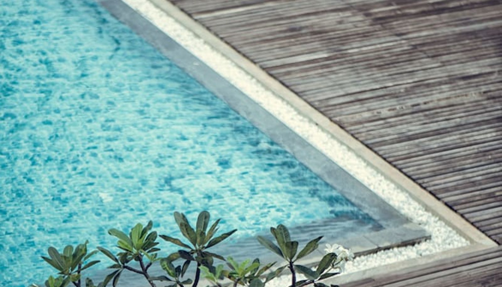 Pool - Suriya Resort