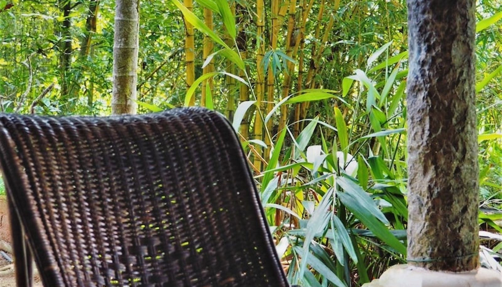 Recepción - Eden Garden Ayurvedic Health Retreat