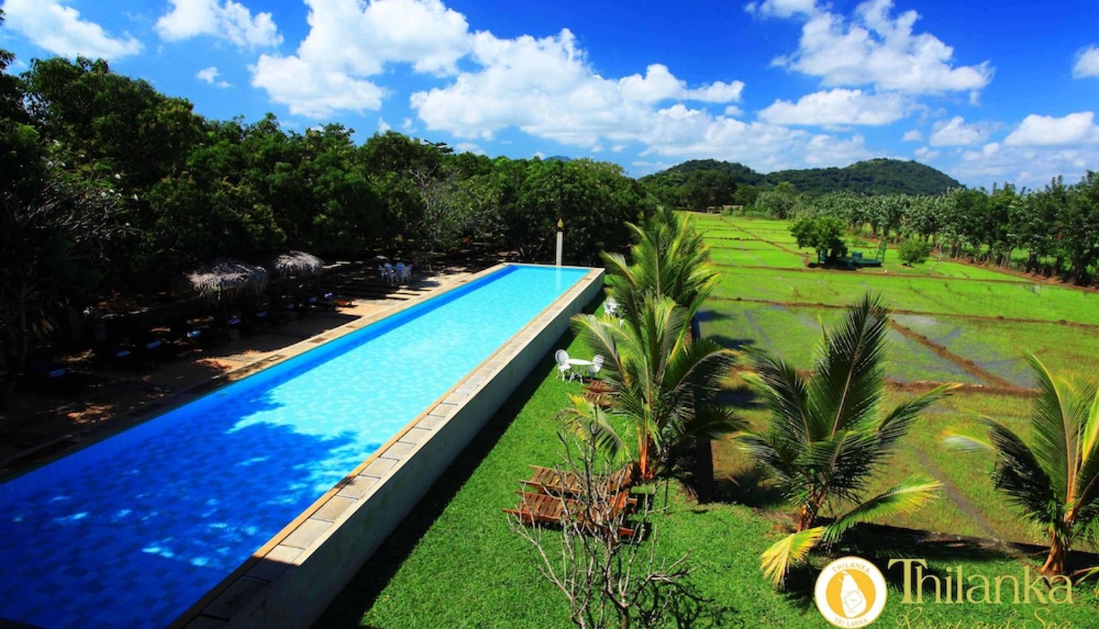Pool - Sigiriana Resort by Thilanka