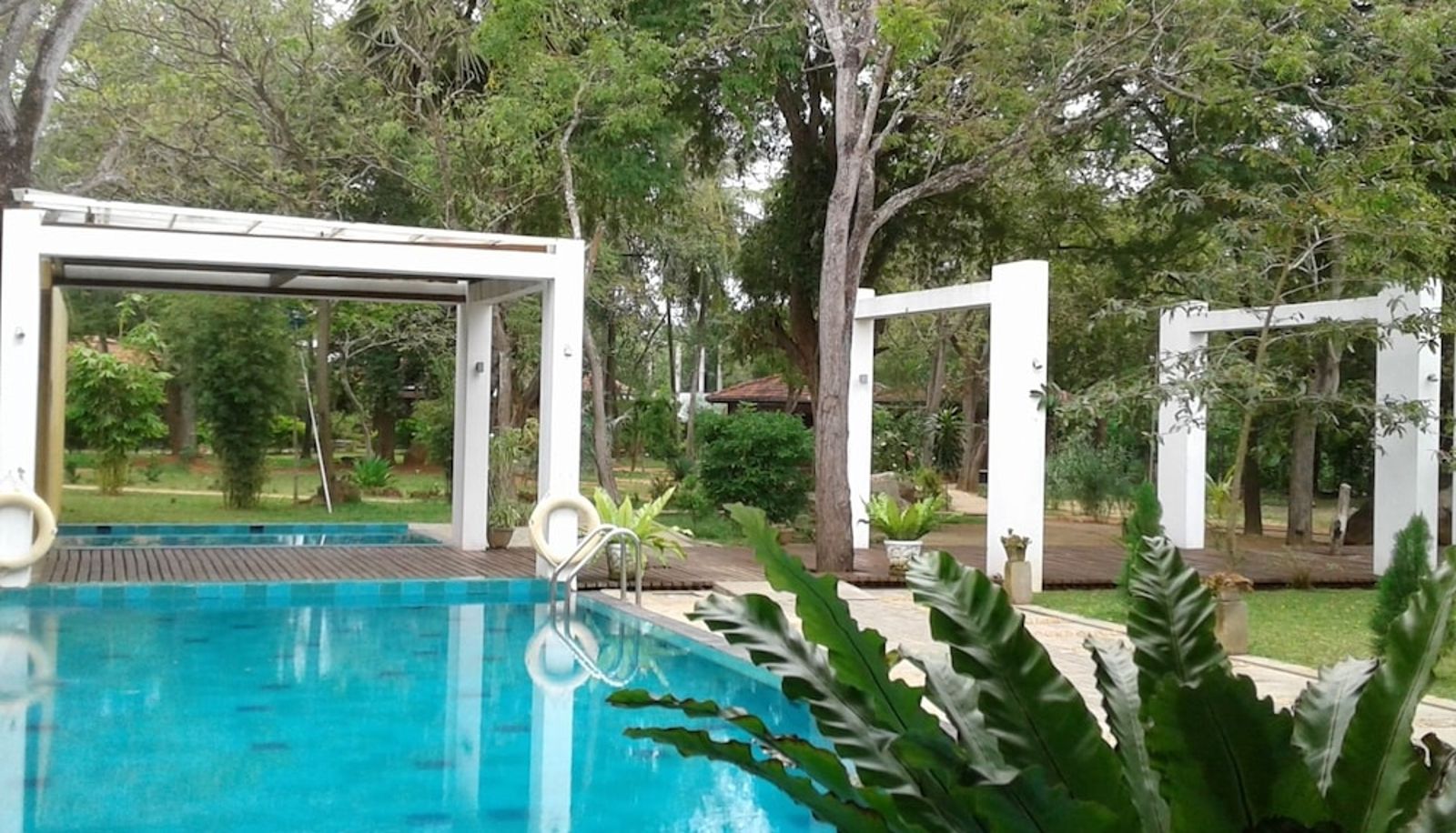Pool - Neem Villas