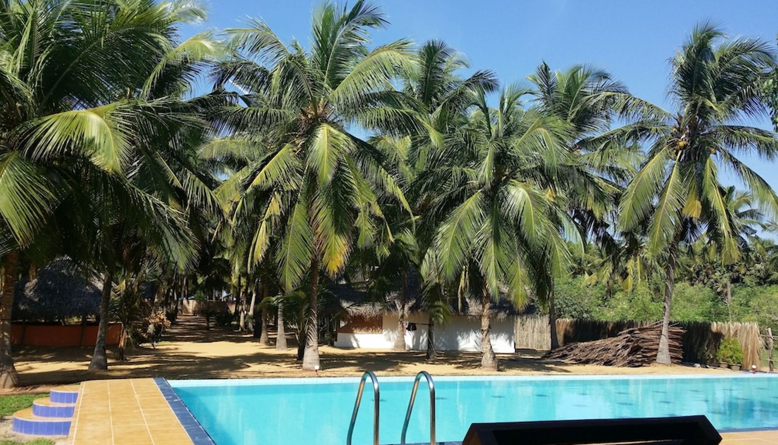 Piscine - Roshanne Beach Resort