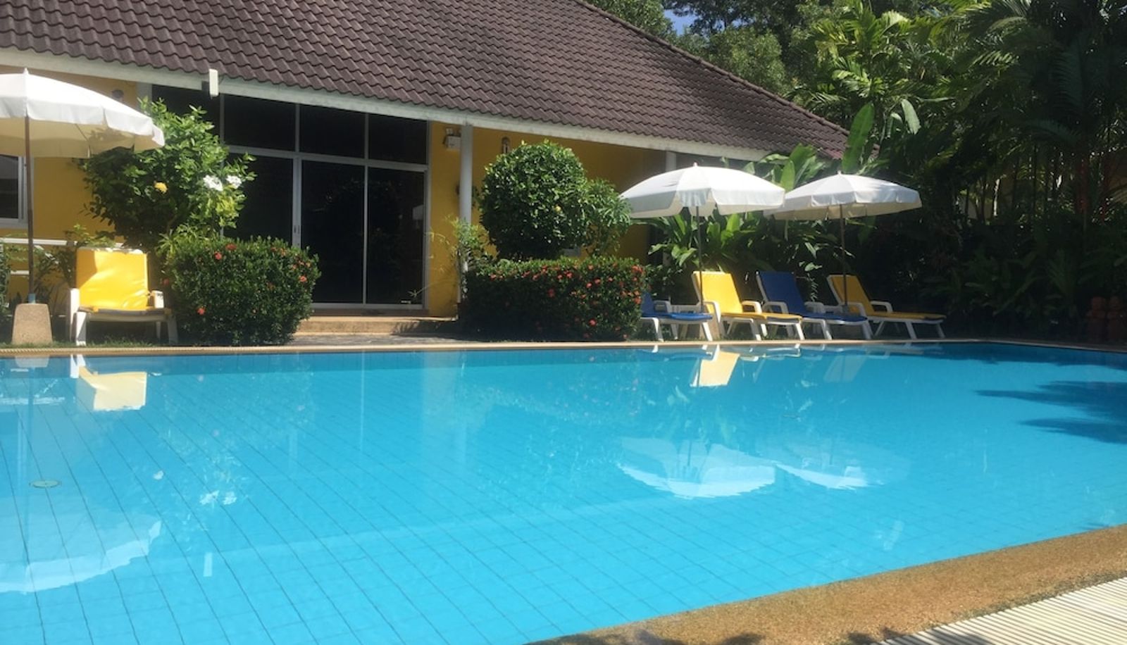 Pool - Loma Resort