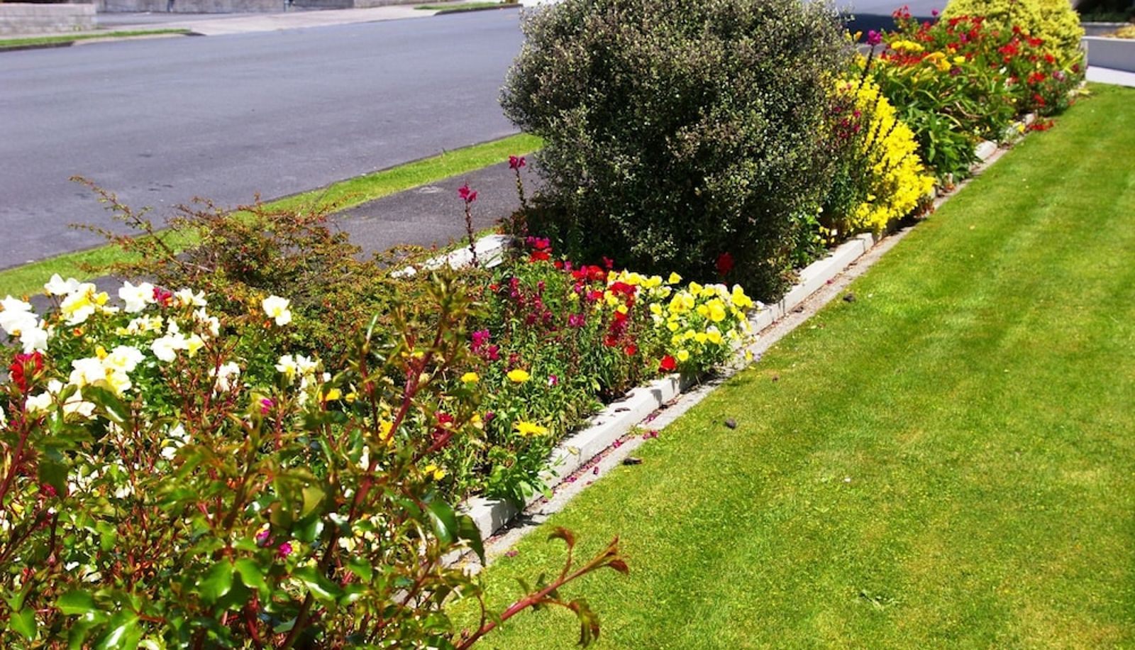 Info - Totara Lodge Motel