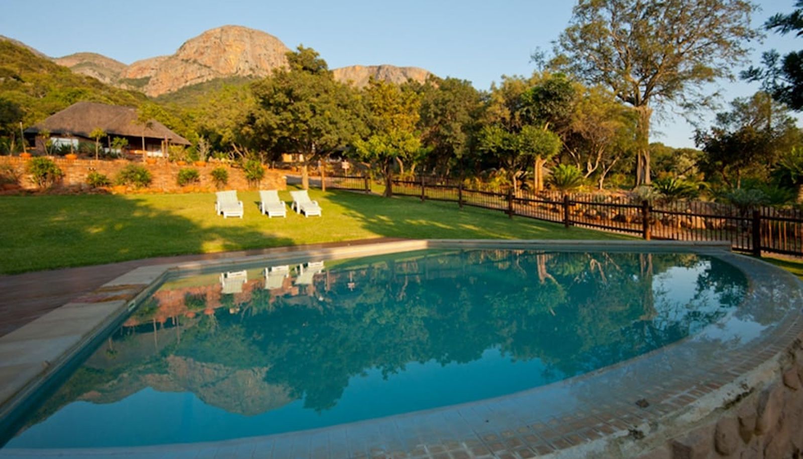 Piscine - Amafu Forest Lodge