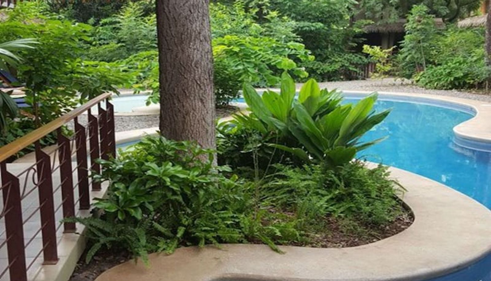 Piscine - Olas Verdes Hotel