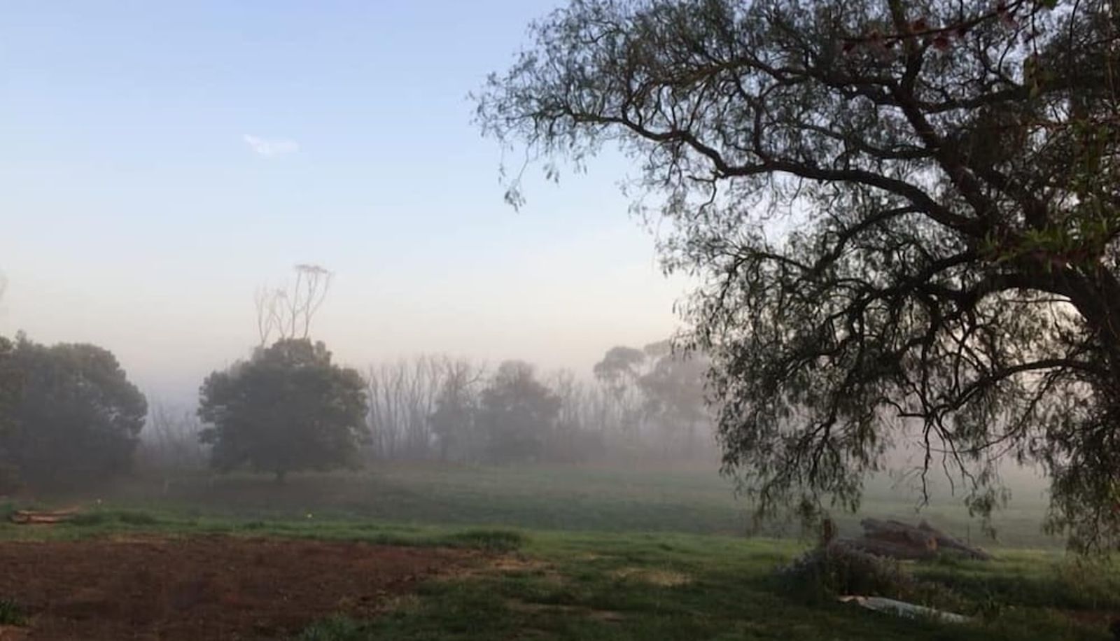 Jardín - Abington Farm