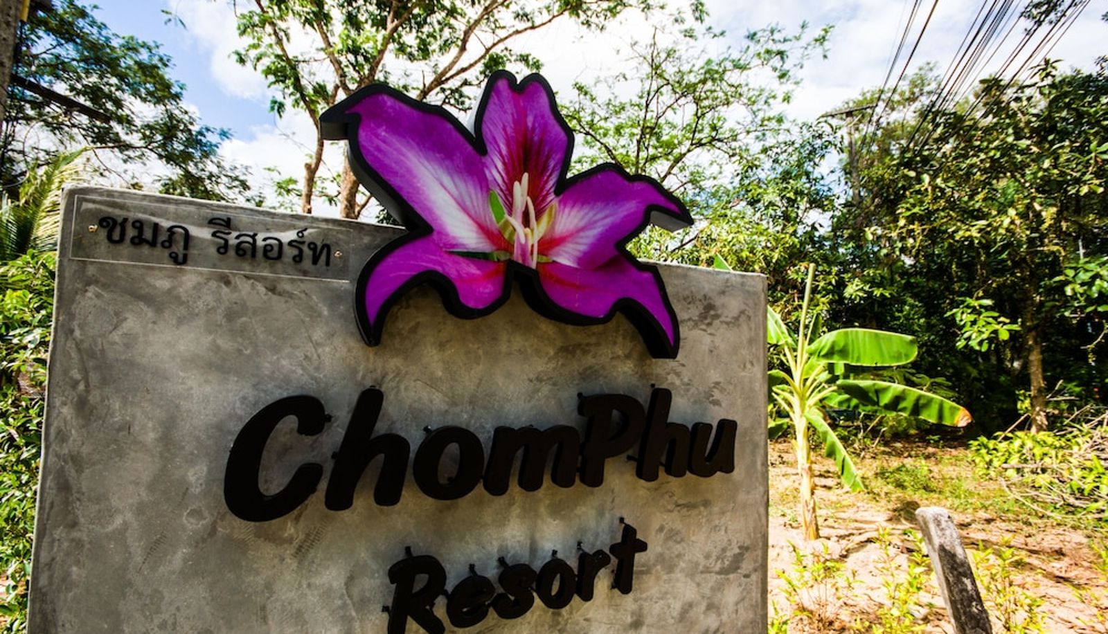 Reception - Chomphu Resort Khaolak