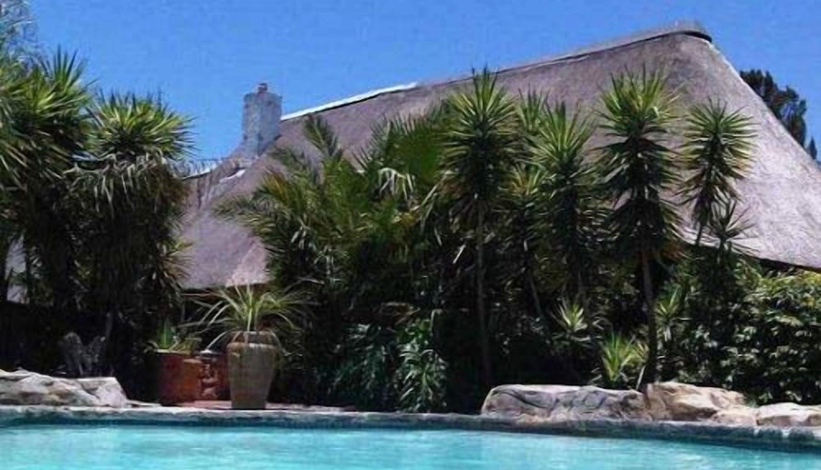 Zwembad - Pine Tree Lodge