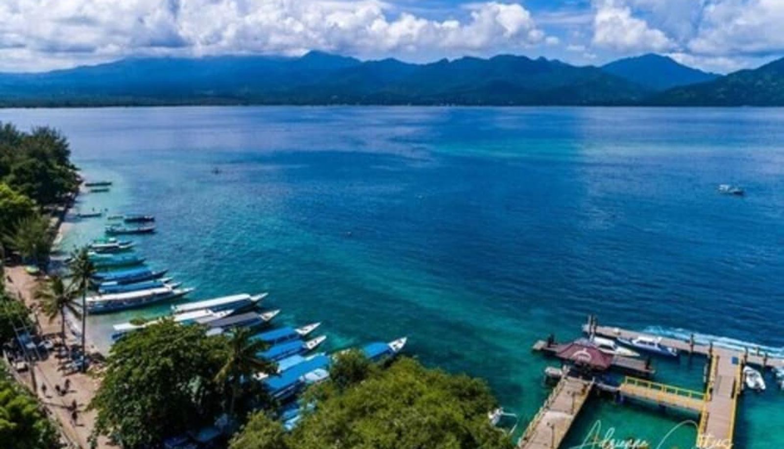 Pool - Oceans 5 Dive Resort