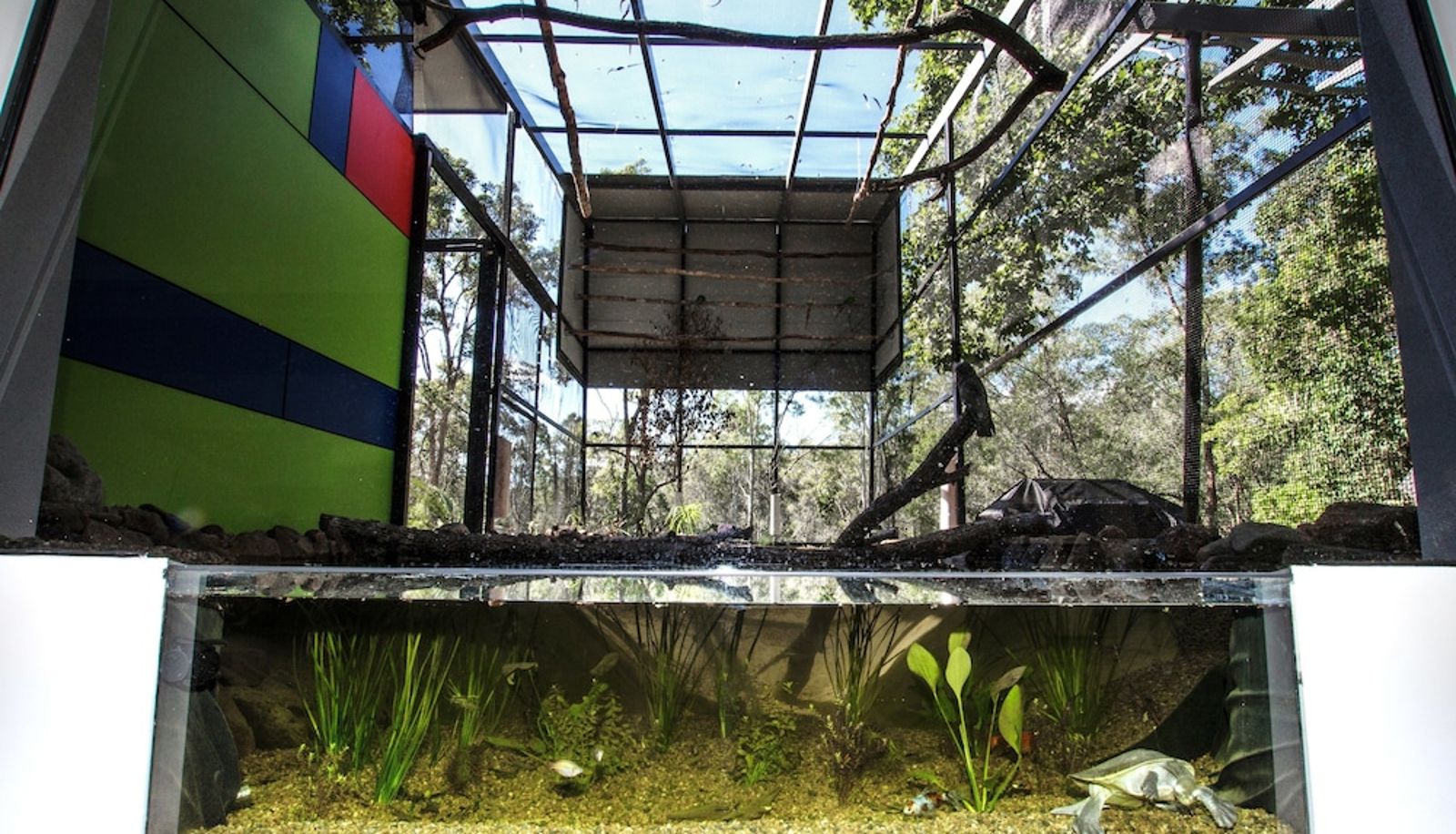 Habitación estándar - The Feathered Nest - Wildlife Retreat