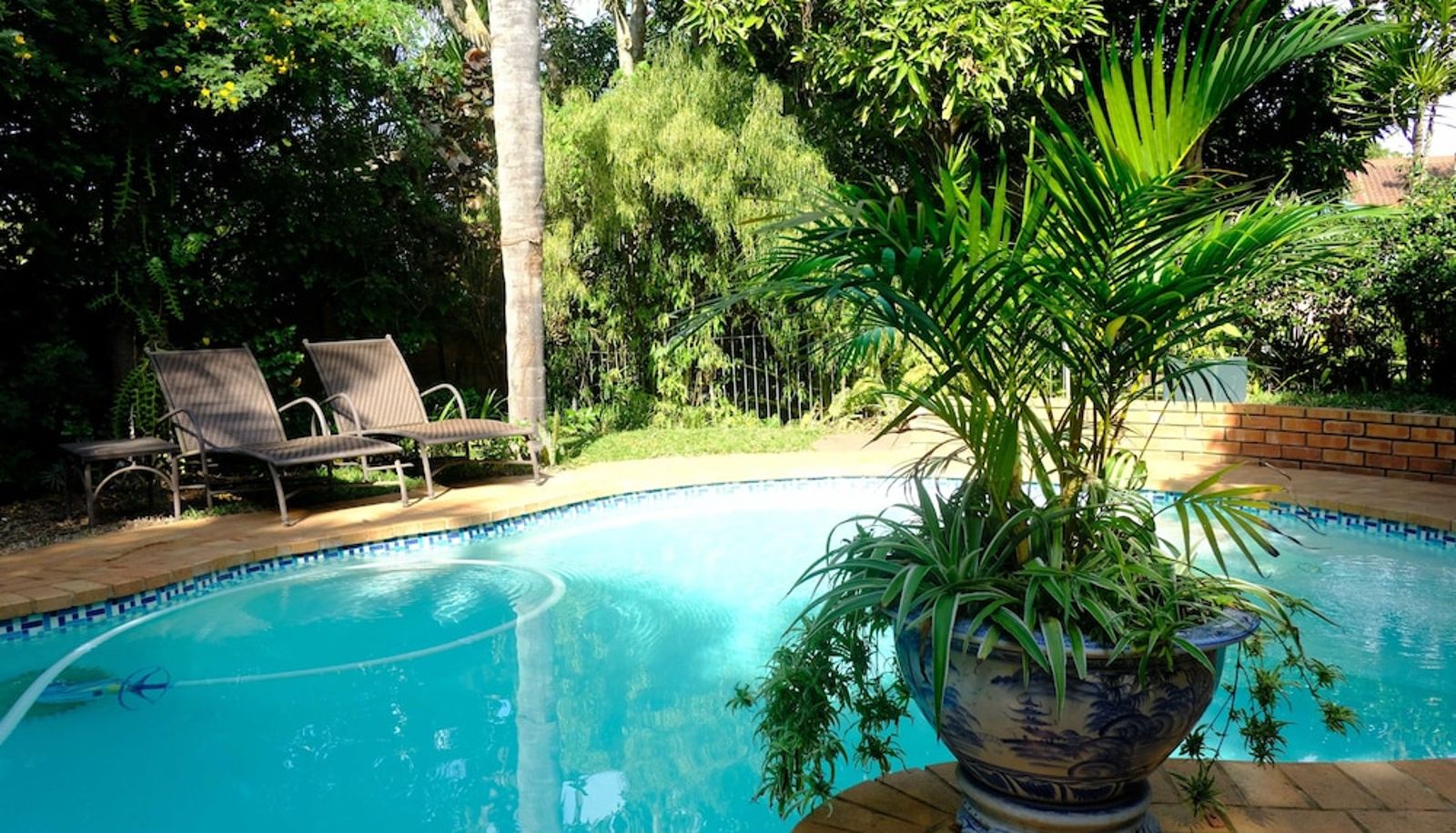 Pool - Santa Lucia Guest House