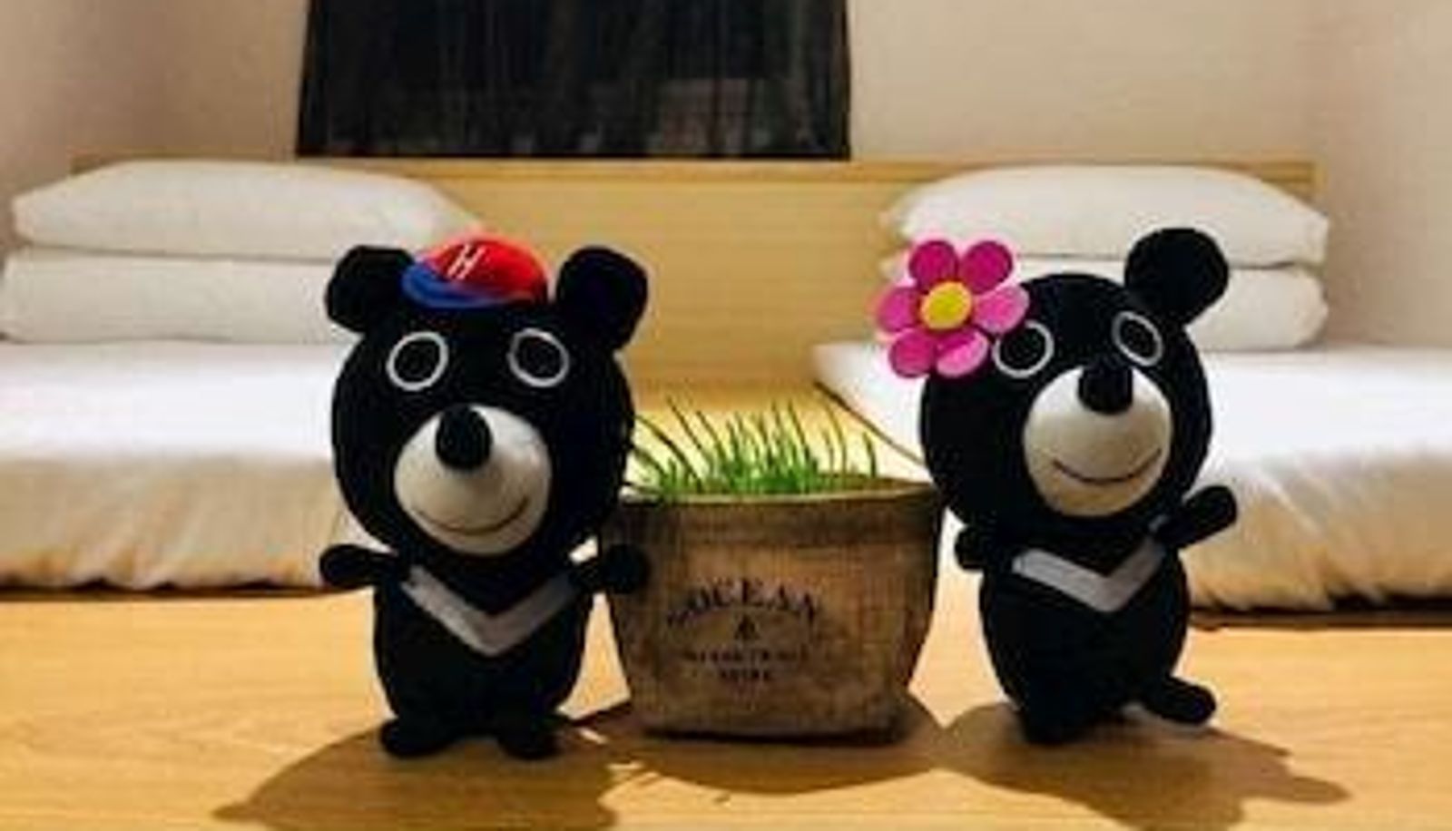 Pokój typu standard - Heybear Capsule Hotel